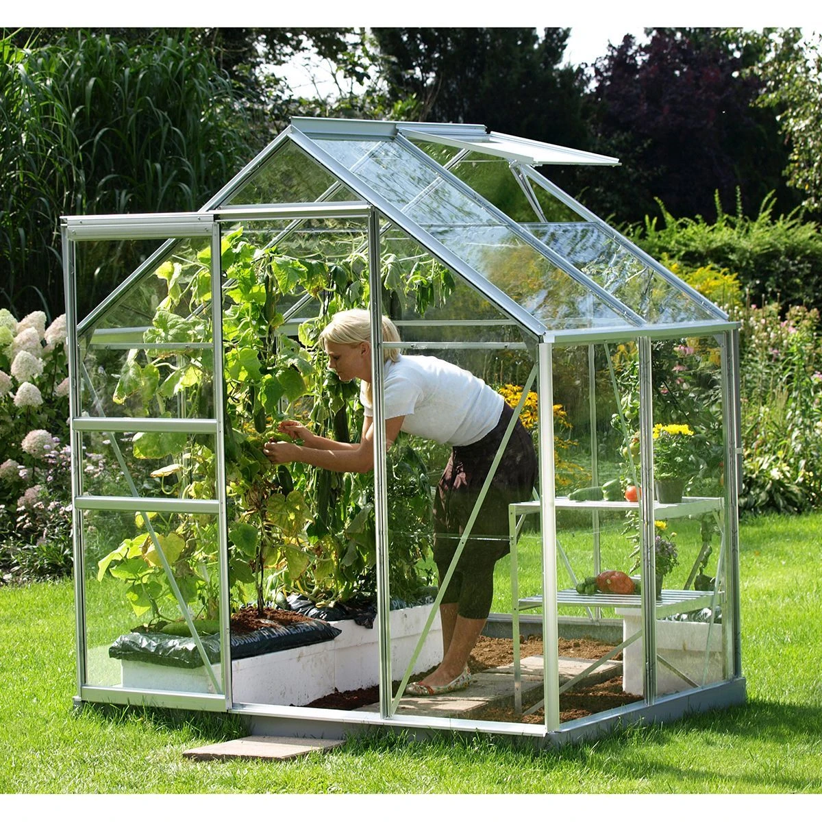 Vitavia Venus 2500 Greenhouse - Aluminium - 6 X 4ft - Horticultural