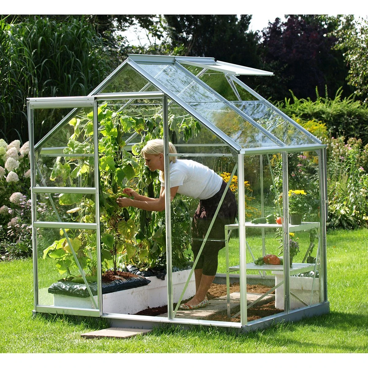 Vitavia Venus 2500 Greenhouse - Aluminium - 6 X 4ft - Toughened