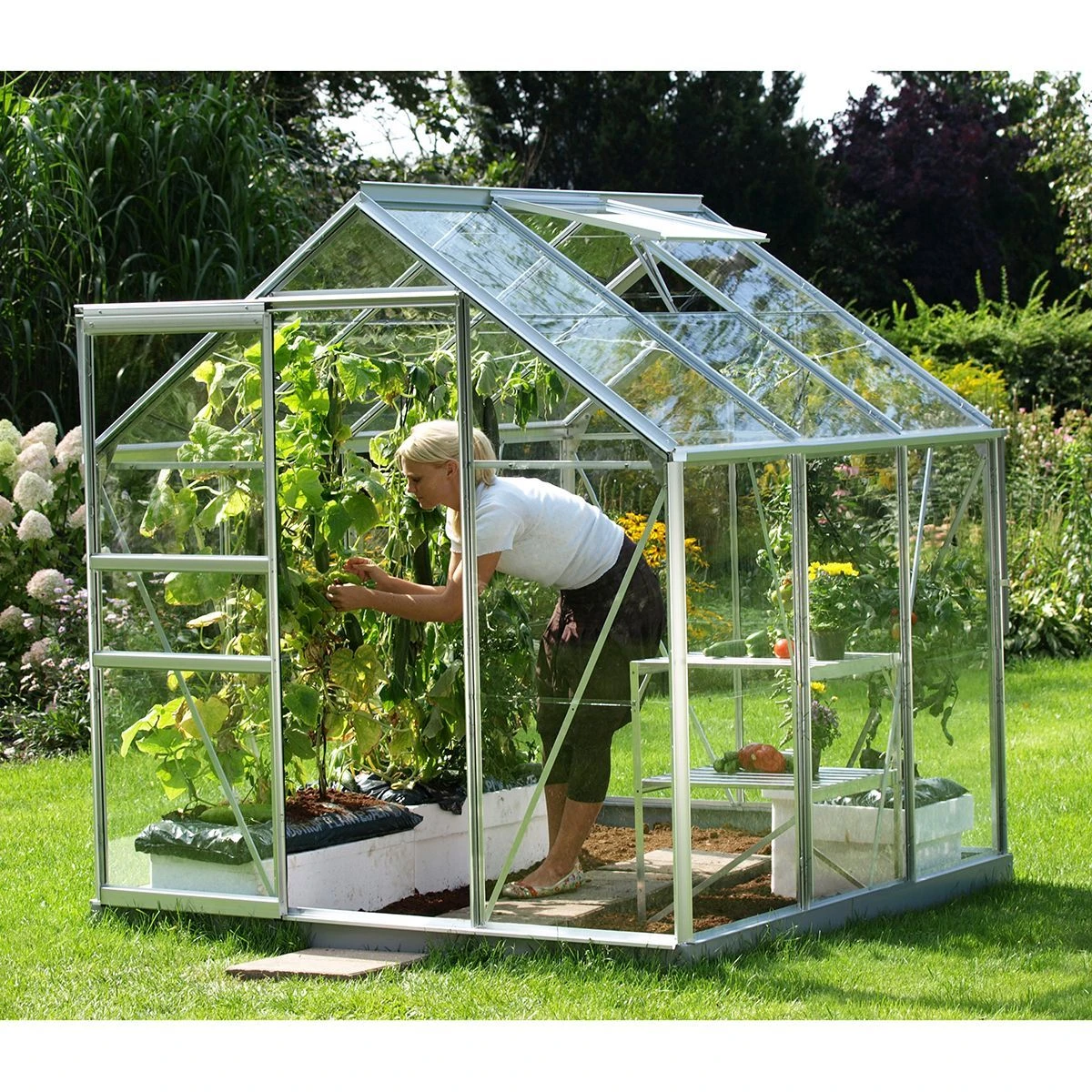 Vitavia Venus 3800 Greenhouse - Aluminium - 6 X 6ft - Horticultural