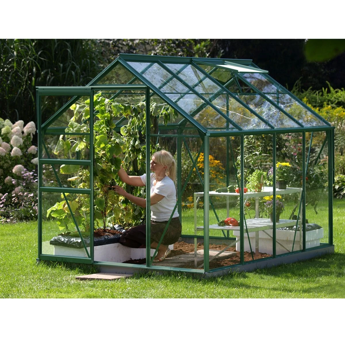Vitavia Venus 5000 Greenhouse - Green - 6 X 8ft - Toughened
