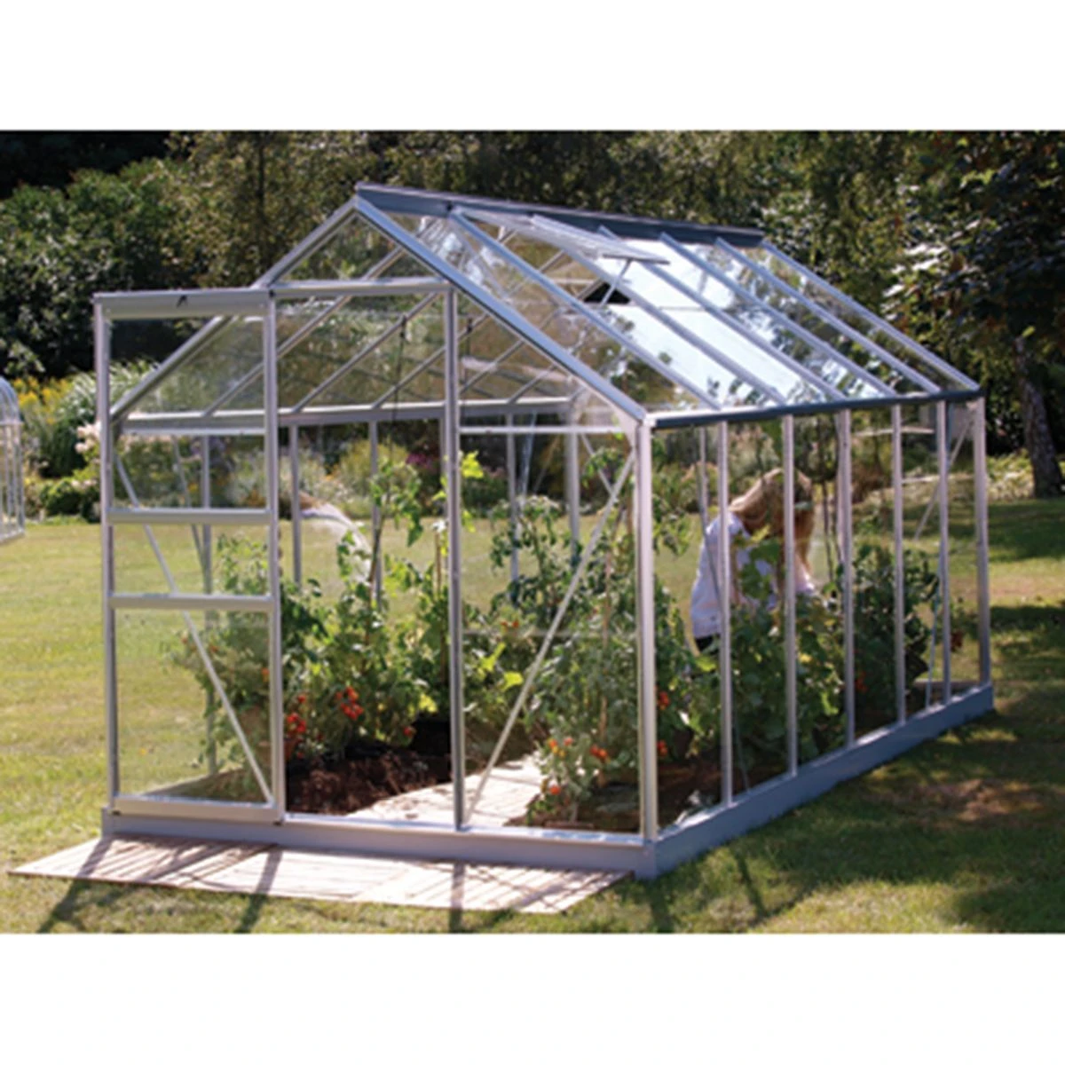 Vitavia Venus 7500 Greenhouse - Aluminium - 6 X 12ft - Horticultural