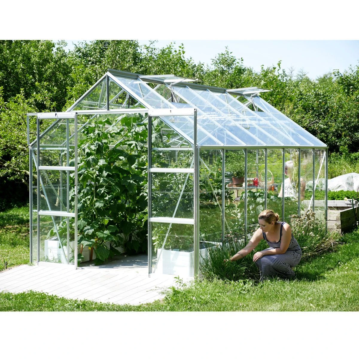 Vitavia Jupiter 11500 Greenhouse - Aluminium - 8 X 14ft - Toughened