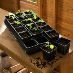 Gardman Growing Tray With 18cm X 9cm Square Pots