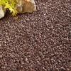 Sunset Red Chippings 14-20mm Bulk Bag