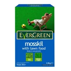 EverGreen Mosskill And Lawn Feed 80sqm