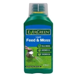 Evergreen Liquid Feed And Mosskiller - 1L