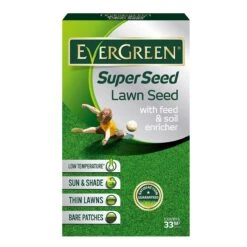 Evergreen Superseed Lawn Seed - 1kg