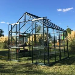 Vitavia Phoenix 8300 Greenhouse - Green - 8 X 10ft - Horticultural
