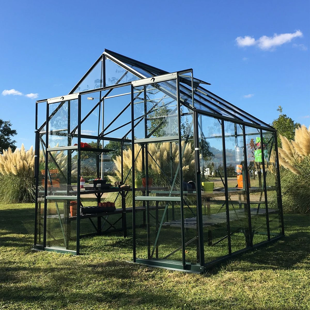 Vitavia Phoenix 8300 Greenhouse - Green - 8 X 10ft - Toughened
