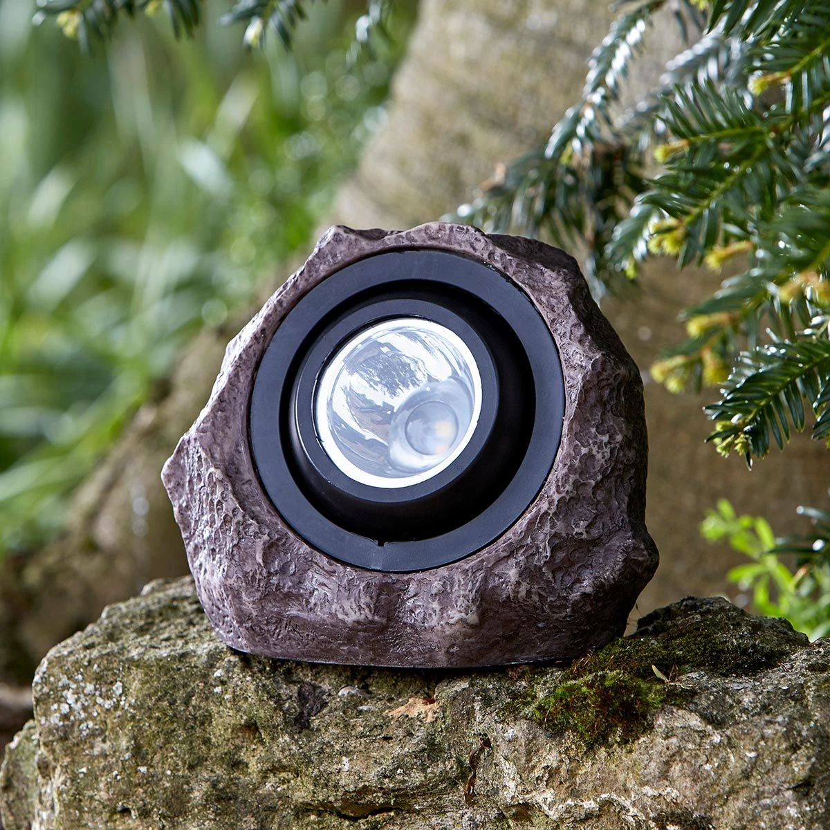 Solar Rock Light