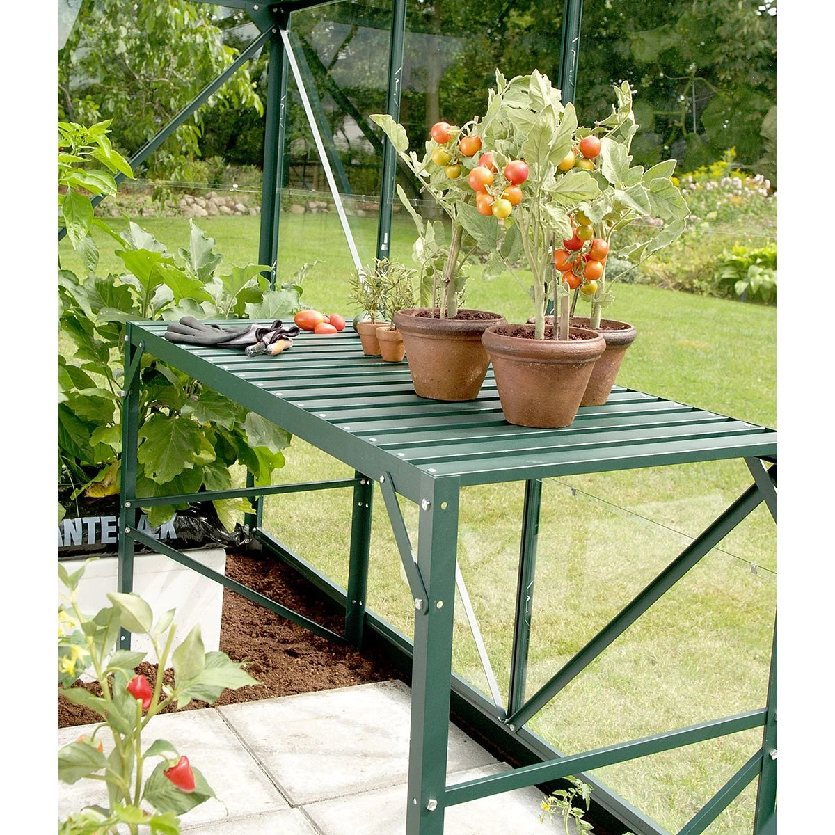 Vitavia 1 Tier Staging - Green