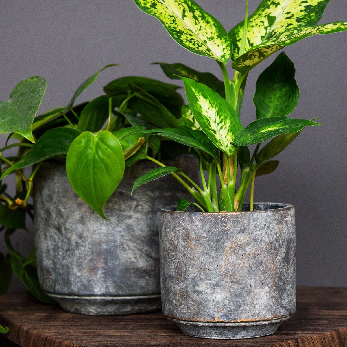 Tivoli Pot - Earth 18cm - Image 2