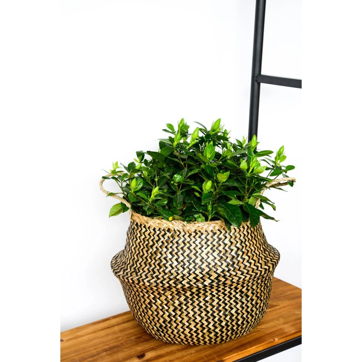 Seagrass Chevron Lined Basket - 25cm Black - Image 2