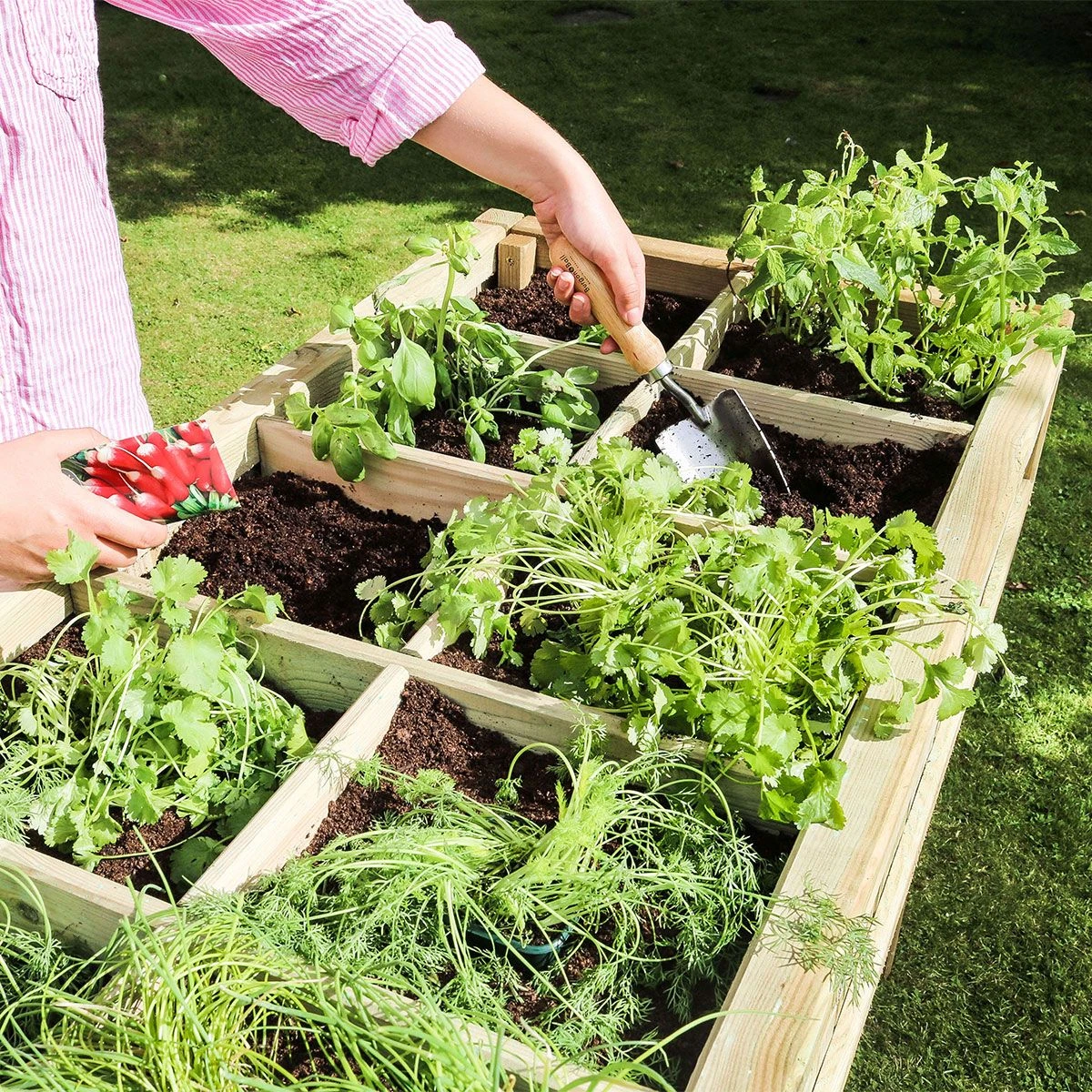 Raised Herb Bed - Image 4