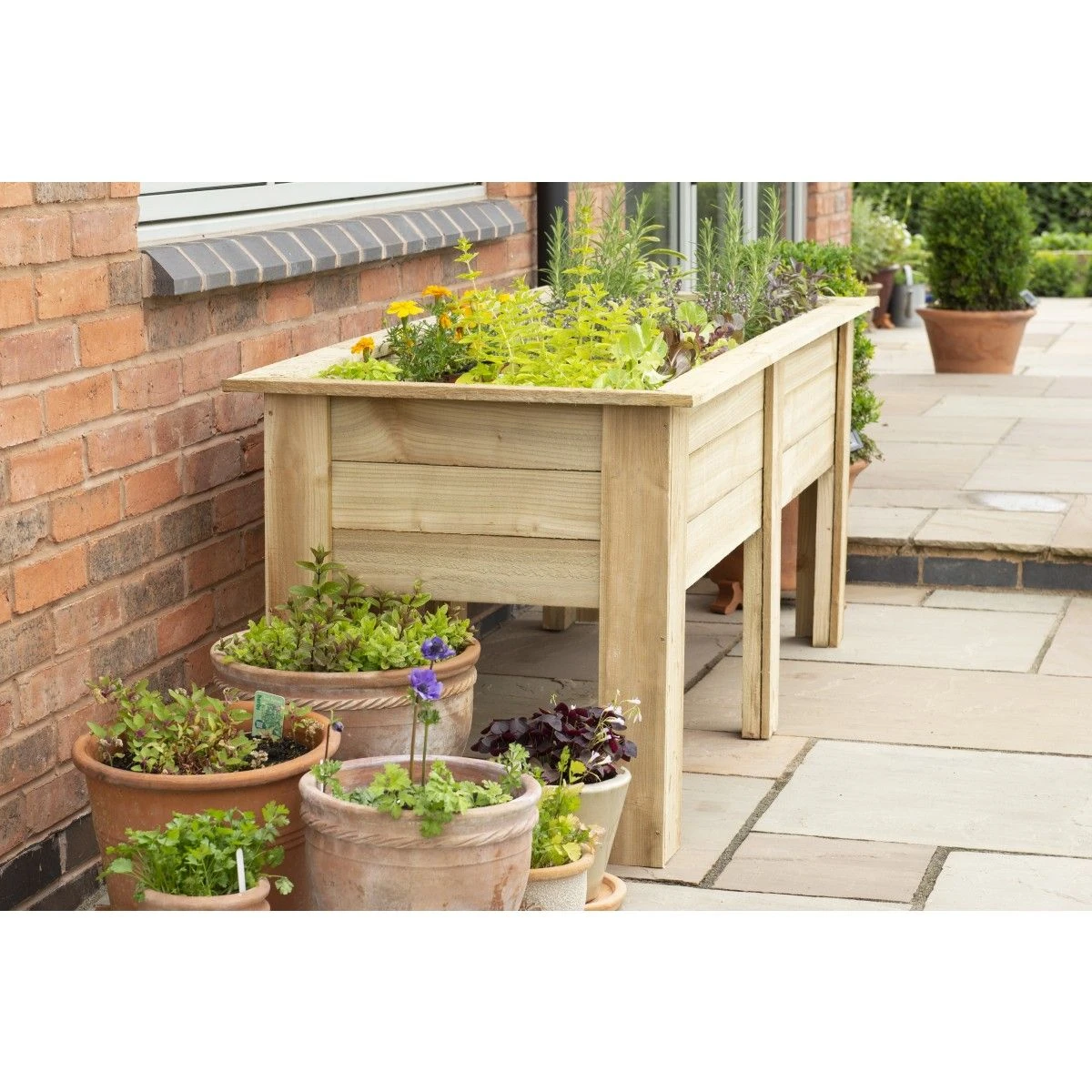 Forest Kitchen Garden Planter - Large - Image 6