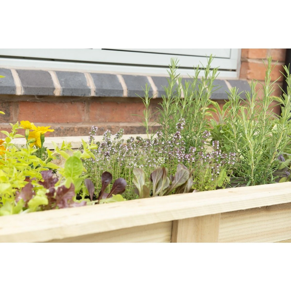 Forest Kitchen Garden Planter - Large - Image 9