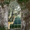 Buttercup Country Arch Large Garden Mirror (160 X 85cm)