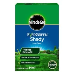 EverGreen Shady And Dry Lawn Seed 420g