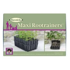 Maxi Root Trainers