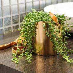 Copper Hanging Planter With Leather Strap - Large