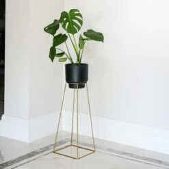 Minimo Plant Stand In Gold - Large