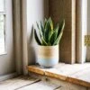 Bamboo Grey Planter - Large