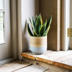 Bamboo Grey Planter - Large