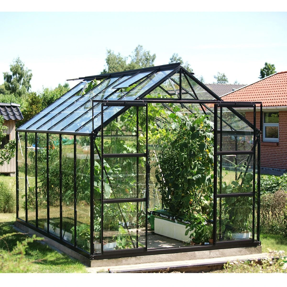 Vitavia Jupiter 9900 Greenhouse - Black - 8 X 12ft